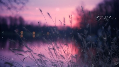 4k治愈唯美夕阳草丛