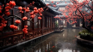 寂静雨天