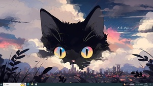 可爱猫咪