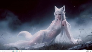 白狐姐姐狸狸