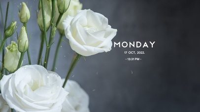 4k简约清新系列