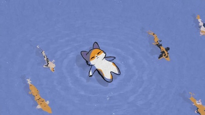 水面上漂浮的小狸猫