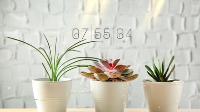 简约小清新绿植盆栽桌面