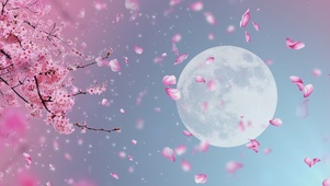 浪漫月下桃花动态背景