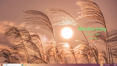 深拥必伤是阳光—【主题桌面】