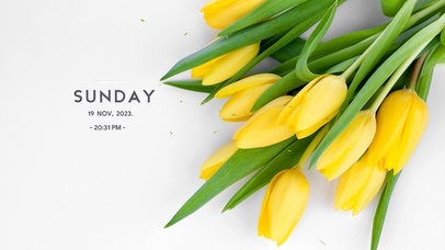 4k清新郁金香桌面