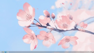 樱花飘落
