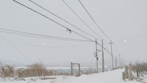 北方的雪