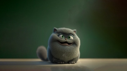 猫咪 大脸猫 可爱 4K