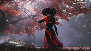 枫林
