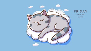熟睡小猫