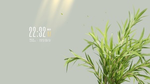 绿植小清新桌面