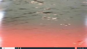 万圣之水  电脑版