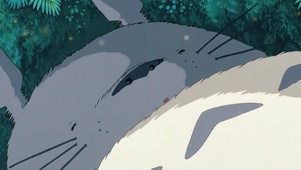 酣睡龙猫
