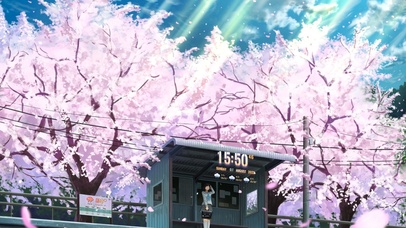 4K唯美樱花站台