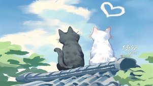 屋顶两只猫