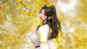 唯有银杏不负秋