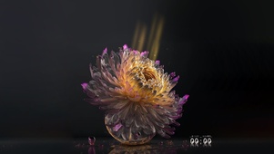 4k水晶菊花