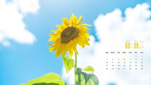蓝天与向日葵