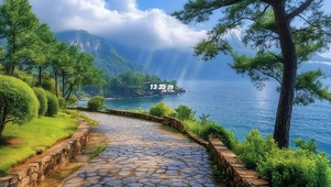 护眼海边杉树小路