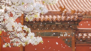 4K红墙映梨花