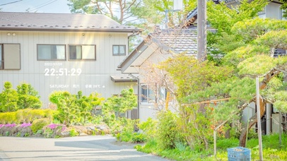 4k 治愈清新夏日街道风景