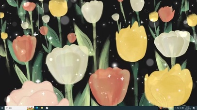 超大郁金香  主题