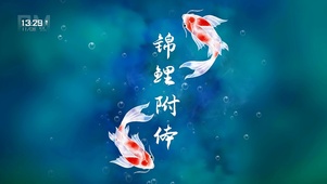 锦鲤附体