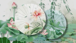 荷花油纸伞中国风