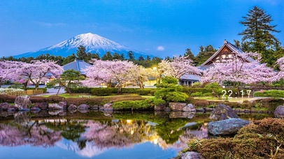 富士山樱花