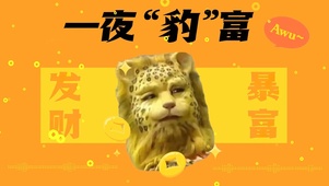 4K一夜暴富金钱豹