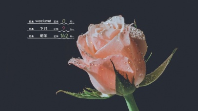 4k高清冷美系列