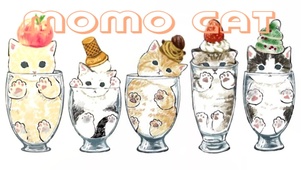 MOMO CAT