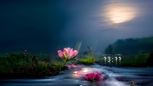 夜晚荧光鲜花