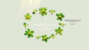 简约4k小清新壁纸