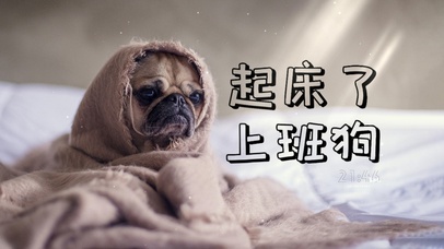 起床了上班狗学习狗