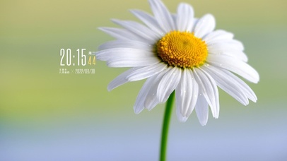 4k高清治愈小清新系列