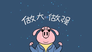 飞天猪之做大做强