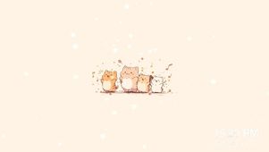 一群小猫咪