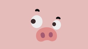 可爱猪猪
