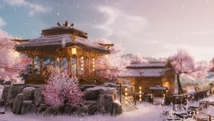 满园雪