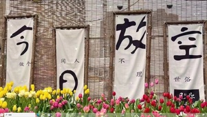 放空日常  电脑版