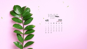 简约系绿植壁纸