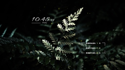 4k暗黑简约绿植