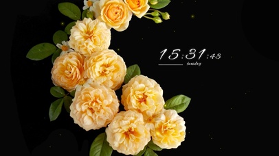 4k荧光高级桌面