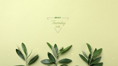 简约系绿植壁纸