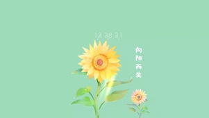向阳而生