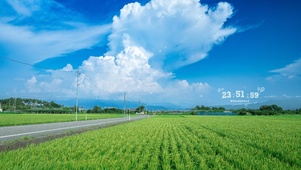 4K 夏日麦田