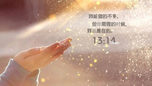 4K我一直都在