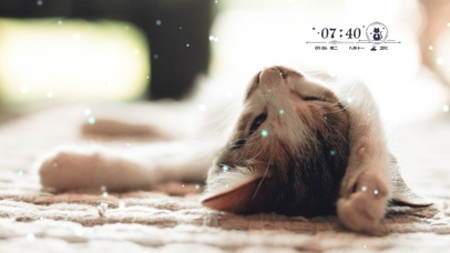 慵懒の喵喵 点赞关注者心想事成